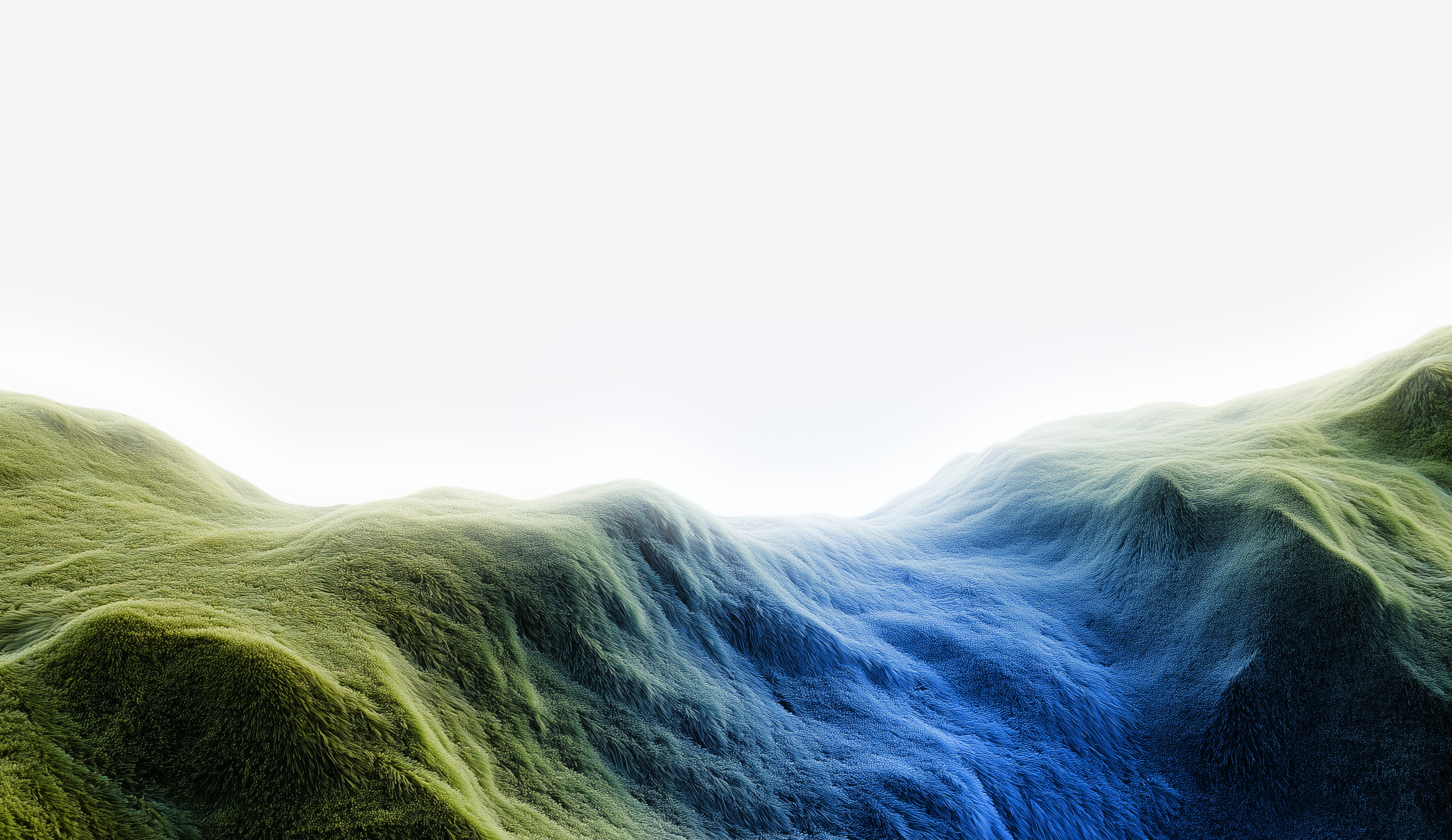 decorative image in cta block